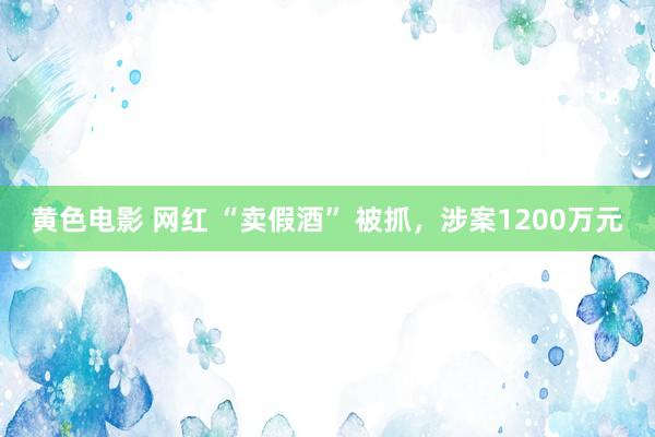 黄色电影 网红 “卖假酒” 被抓，涉案1200万元