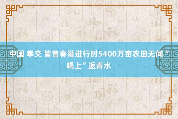 中国 拳交 皆鲁春灌进行时5400万亩农田无间“喝上”返青水