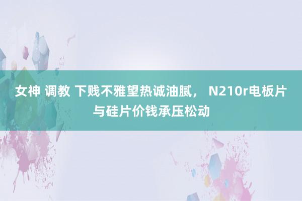 女神 调教 下贱不雅望热诚油腻， N210r电板片与硅片价钱承压松动