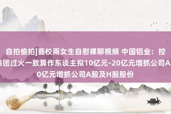 自拍偷拍]藝校兩女生自慰裸聊視頻 中国铝业：控股鼓舞中铝集团过火一致算作东谈主拟10亿元-20亿元增抓公司A股及H股股份