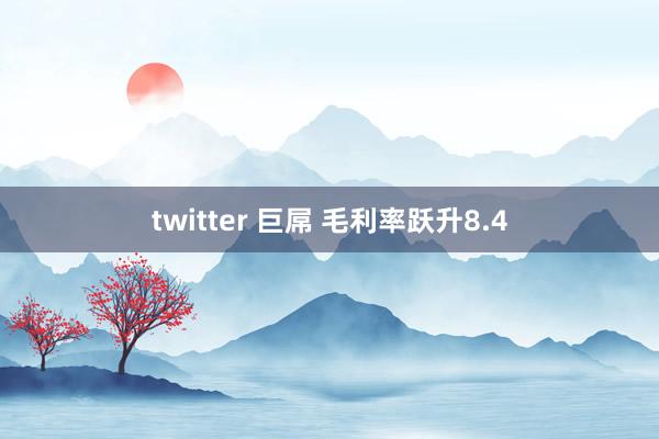 twitter 巨屌 毛利率跃升8.4