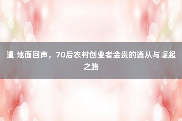 逼 地面回声，70后农村创业者金贵的遵从与崛起之路