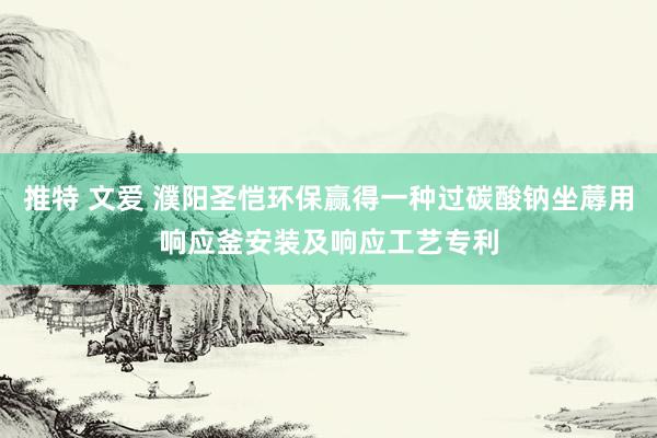 推特 文爱 濮阳圣恺环保赢得一种过碳酸钠坐蓐用响应釜安装及响应工艺专利