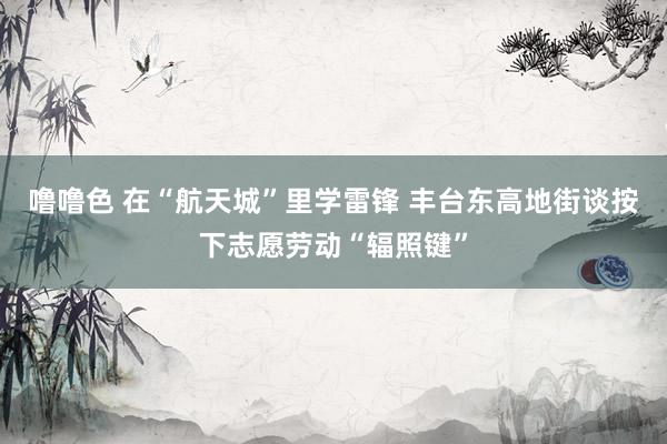 噜噜色 在“航天城”里学雷锋 丰台东高地街谈按下志愿劳动“辐照键”