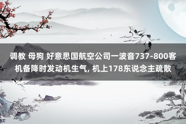 调教 母狗 好意思国航空公司一波音737-800客机备降时发动机生气， 机上178东说念主疏散