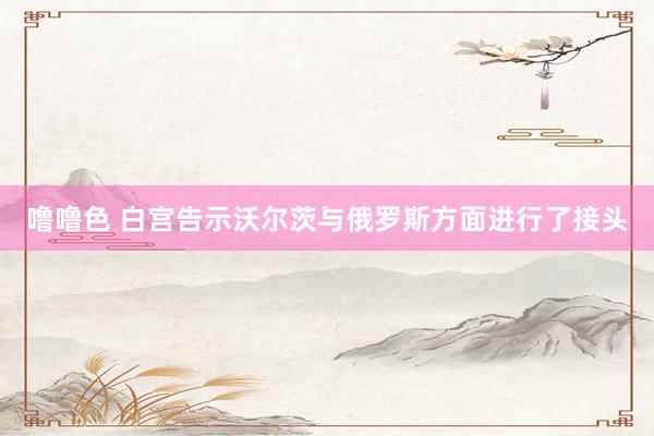 噜噜色 白宫告示沃尔茨与俄罗斯方面进行了接头