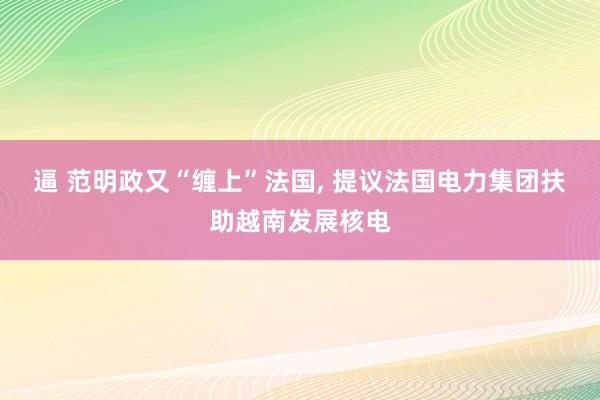 逼 范明政又“缠上”法国， 提议法国电力集团扶助越南发展核电