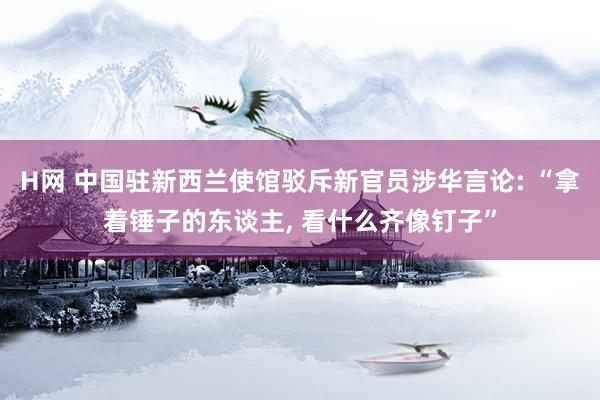 H网 中国驻新西兰使馆驳斥新官员涉华言论: “拿着锤子的东谈主， 看什么齐像钉子”