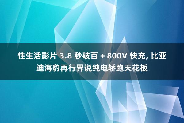 性生活影片 3.8 秒破百 + 800V 快充， 比亚迪海豹再行界说纯电轿跑天花板