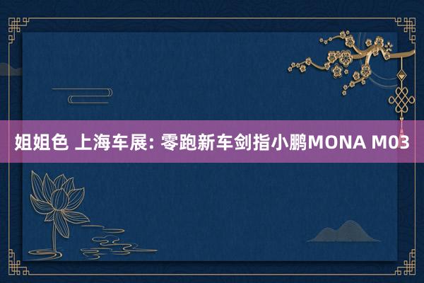姐姐色 上海车展: 零跑新车剑指小鹏MONA M03
