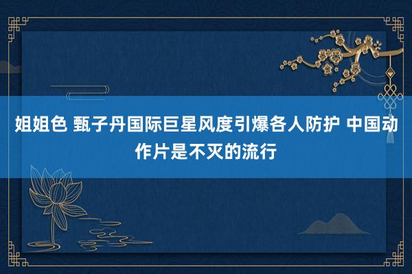 姐姐色 甄子丹国际巨星风度引爆各人防护 中国动作片是不灭的流行
