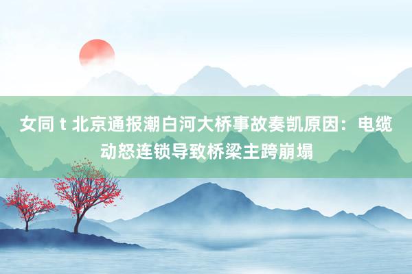 女同 t 北京通报潮白河大桥事故奏凯原因：电缆动怒连锁导致桥梁主跨崩塌