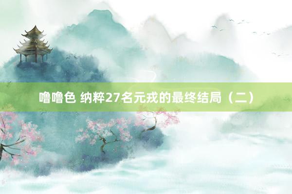 噜噜色 纳粹27名元戎的最终结局（二）