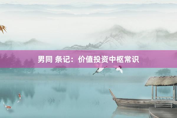 男同 条记：价值投资中枢常识