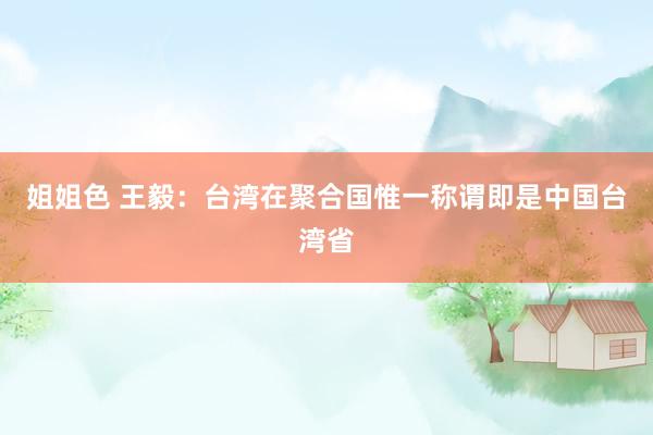 姐姐色 王毅：台湾在聚合国惟一称谓即是中国台湾省