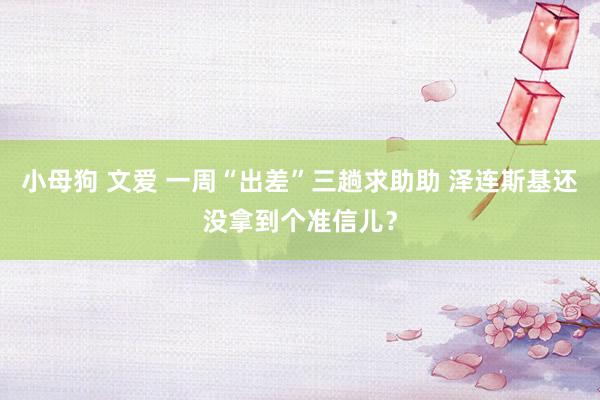 小母狗 文爱 一周“出差”三趟求助助 泽连斯基还没拿到个准信儿？