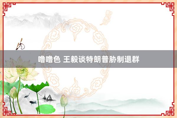 噜噜色 王毅谈特朗普胁制退群
