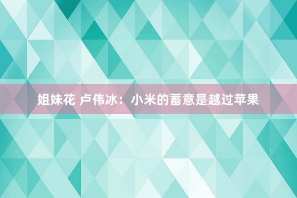 姐妹花 卢伟冰：小米的蓄意是越过苹果